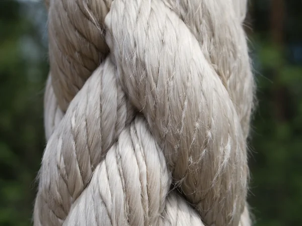 Білий мотузку — стокове фото