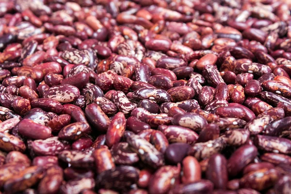 Bean background — Stock Photo, Image
