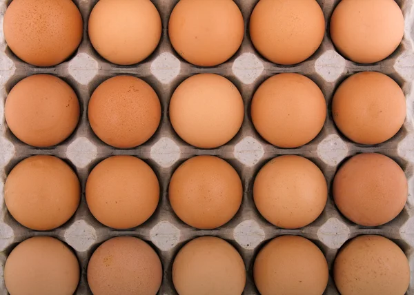 鸡鸡蛋 — 图库照片