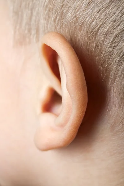 Ear macro — Stock Photo, Image