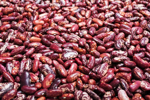 Bean background — Stock Photo, Image
