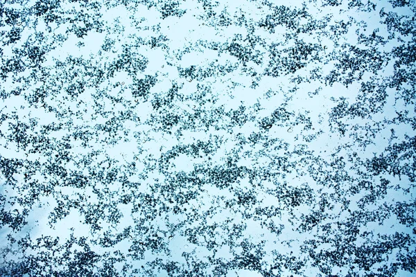 Frost ice — Stockfoto