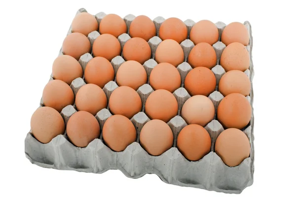 Куриное яйцо — стоковое фото