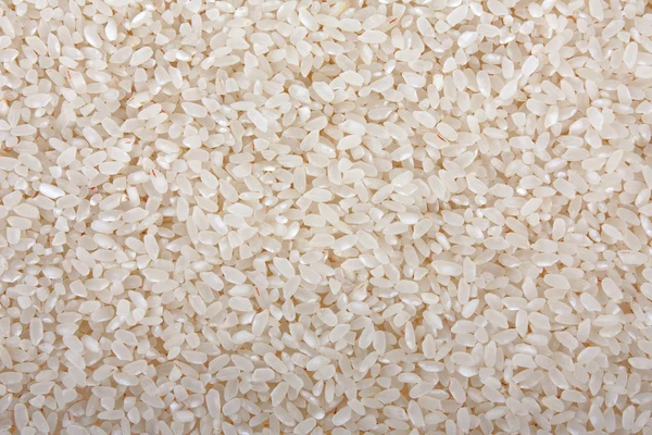 stock image Rice food