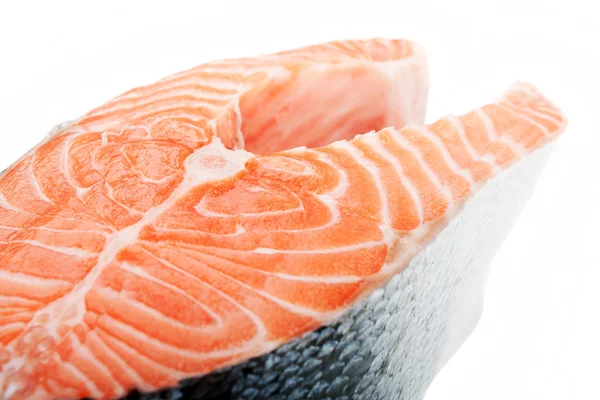 Salmon fish — Stock Photo, Image