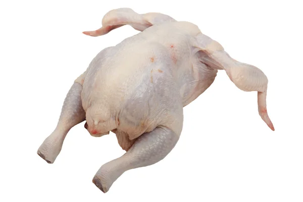 Csirkekaja — Stock Fotó