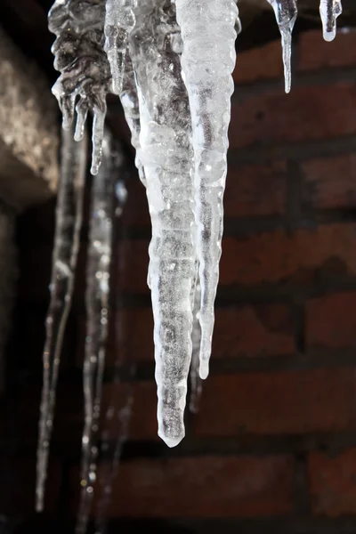 Buz Sarkıtı — Stok fotoğraf