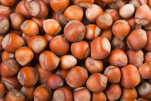 stock image Hazelnut food