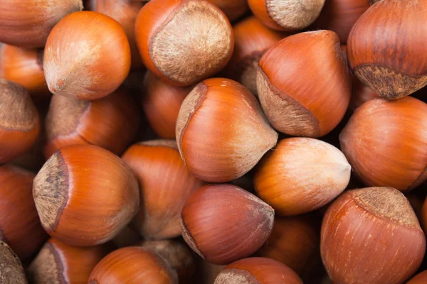 stock image Hazelnut food