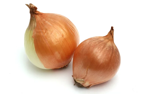 stock image Onion