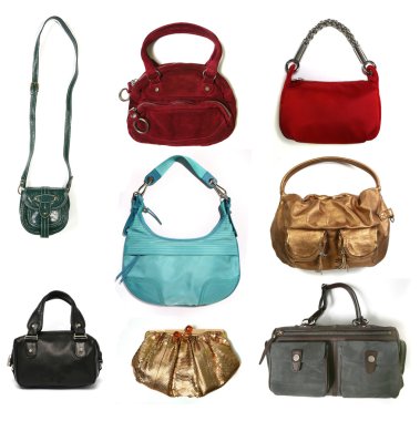 Color women bags clipart