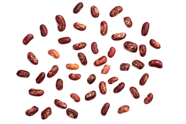白で隔離される赤豆 — ストック写真
