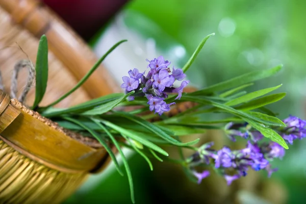 Lavendel och handgjord tvål — Stockfoto