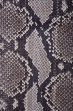 Snakeskin or crocodile texture clipart