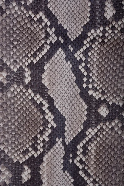 Textura de pele de cobra ou crocodilo — Fotografia de Stock