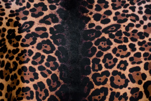 Leopard päls — Stockfoto