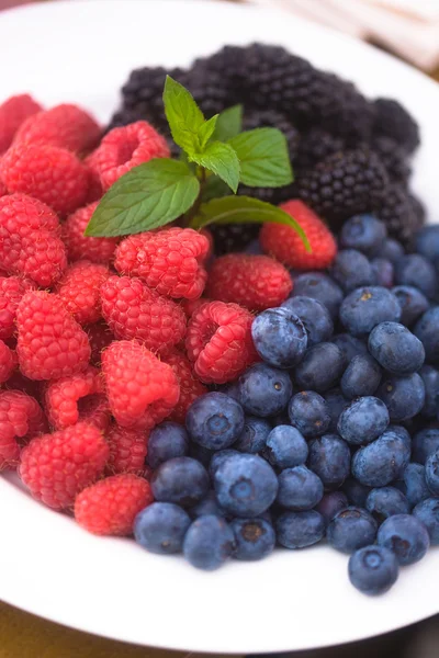 Blueberry, raspberry and blackberry — Stock Photo, Image