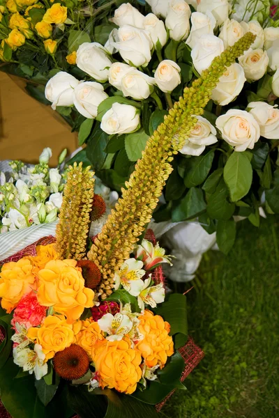 stock image Bouquet