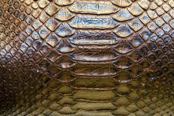 Tessitura di pelle di serpente o coccodrillo — Foto Stock