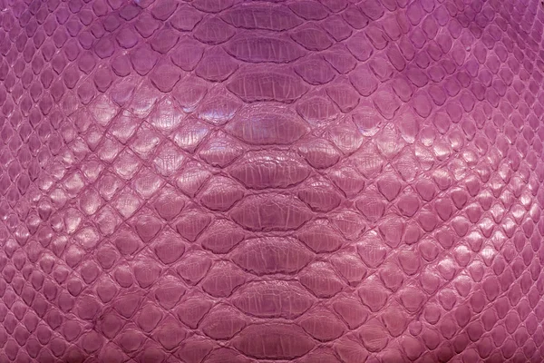 Snakeskin or crocodile texture — Stock Photo, Image