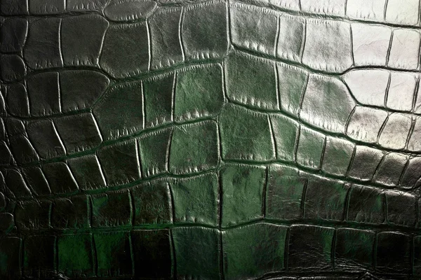 Crocodile textured leather — Stock Photo, Image
