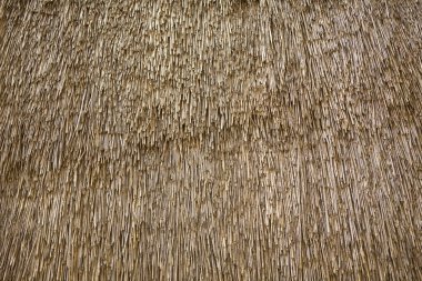 Texture. straw roof clipart