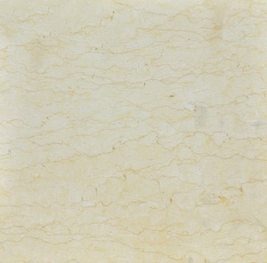 High quality marble texture. Silvia clipart