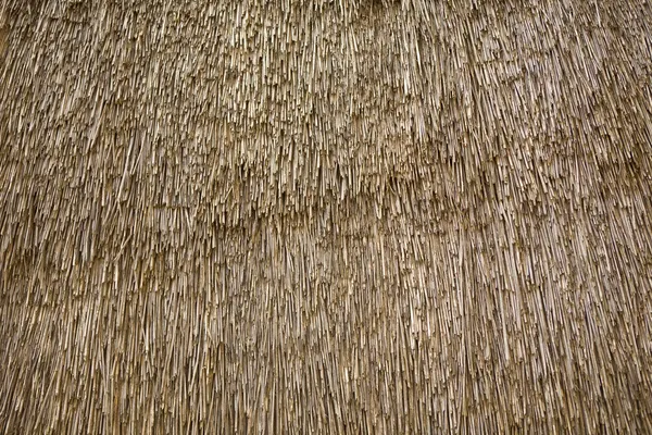 Texture. straw roof — Stock Photo, Image