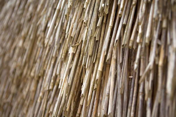 stock image Texture. straw roof