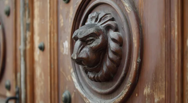 stock image Door decoration. Wooden lion head