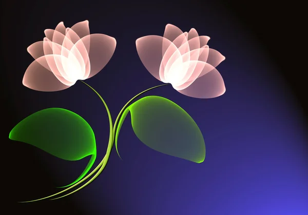 Flores transparentes — Foto de Stock