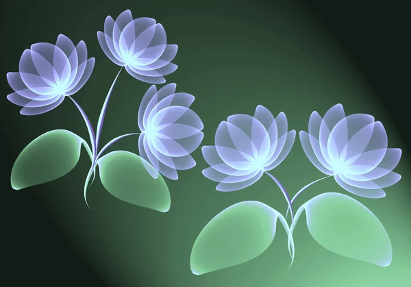 Transparente Blumen — Stockfoto