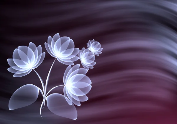 透明な花 — ストック写真