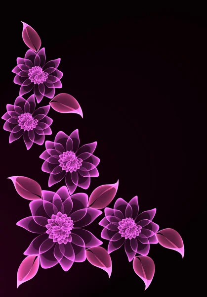 Gennemsigtige blomster - Stock-foto