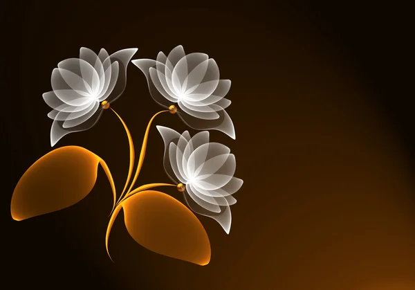 Transparentní květiny — Stock fotografie