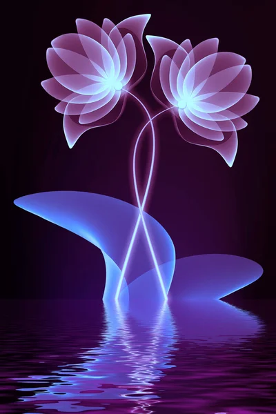 Transparent flowers over water — Stock Photo, Image