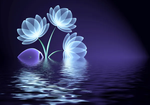Flores transparentes sobre el agua — Foto de Stock