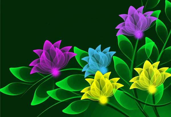 Şeffaf renkli çiçekler — Stok fotoğraf