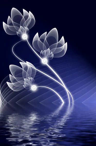 Transparent flowers over water — Stock Photo, Image