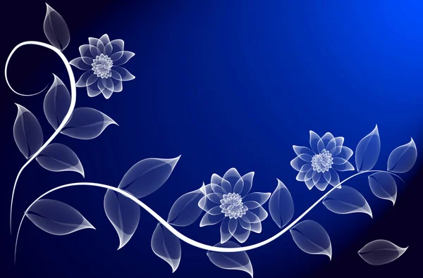 Transparentní květiny — Stock fotografie