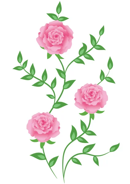 Decorative roses — Stock Vector