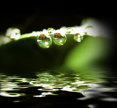 Water drop background clipart