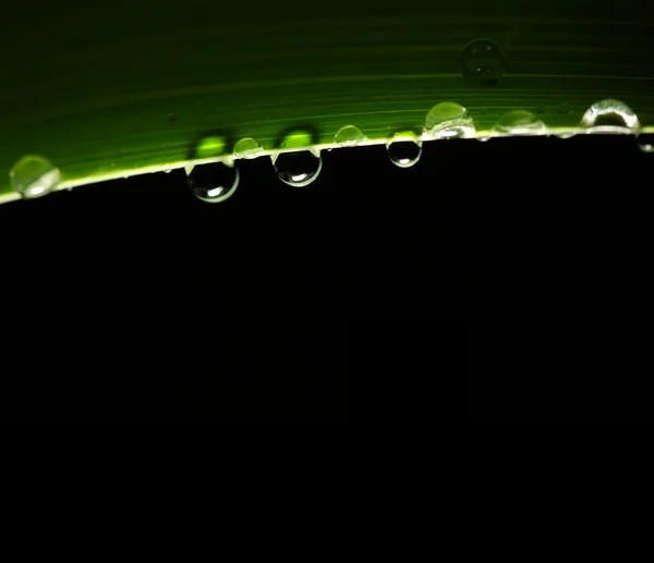 Water drop background — Stock Photo, Image