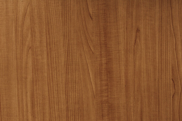 Текстура дерева