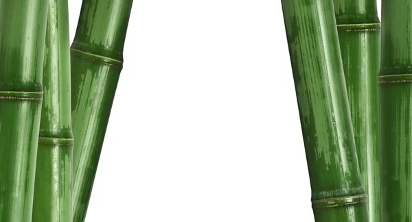 ハード竹の背景 — ストック写真