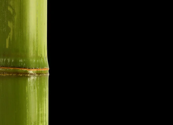 Bamboe detail achtergrond — Stockfoto