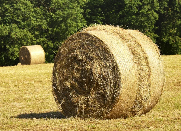 Rural scene of bales — Stock Photo, Image