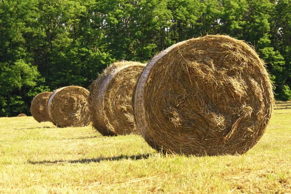 Bale hay background — Stock Photo, Image