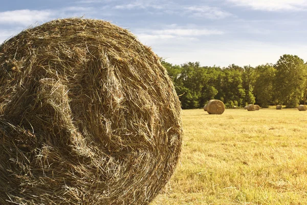 Bale hay background — Stock Photo, Image