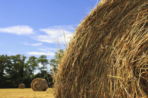 Bale and blue sky — Stock Photo, Image